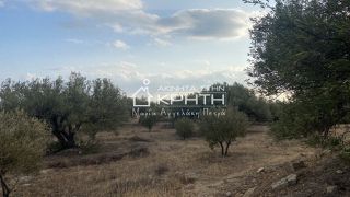 Οικόπεδο 7.800 τ.μ. για πώληση, Ν. Λασιθίου, Ιεράπετρα-thumb-6