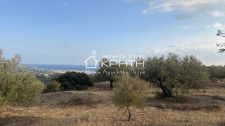 Οικόπεδο 7.800 τ.μ. για πώληση, Ν. Λασιθίου, Ιεράπετρα-thumb-7