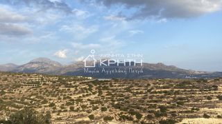 Οικόπεδο 7.800 τ.μ. για πώληση, Ν. Λασιθίου, Ιεράπετρα-thumb-8