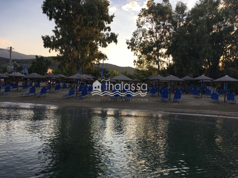 Επιχειρηματικό κτίριο 290 τ.μ. πρός πώληση, Μαγνησία, Μηλιές