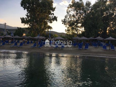 Business bulding 290sqm for sale-Milies » Koropi