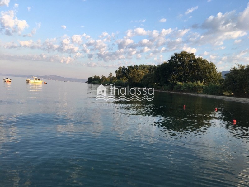 Επιχειρηματικό κτίριο 290 τ.μ. πρός πώληση, Μαγνησία, Μηλιές