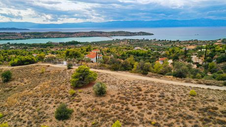 Αγροτεμάχια 24.142 τ.μ. για πώληση