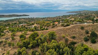 Αγροτεμάχια 24.142 τ.μ. για πώληση, Αργολίδα, Κρανίδι-thumb-16