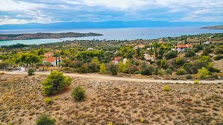 Αγροτεμάχια 24.142 τ.μ. για πώληση, Αργολίδα, Κρανίδι-thumb-5