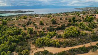 Αγροτεμάχια 24.142 τ.μ. για πώληση, Αργολίδα, Κρανίδι-thumb-13