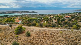 Αγροτεμάχια 24.142 τ.μ. για πώληση, Αργολίδα, Κρανίδι-thumb-6