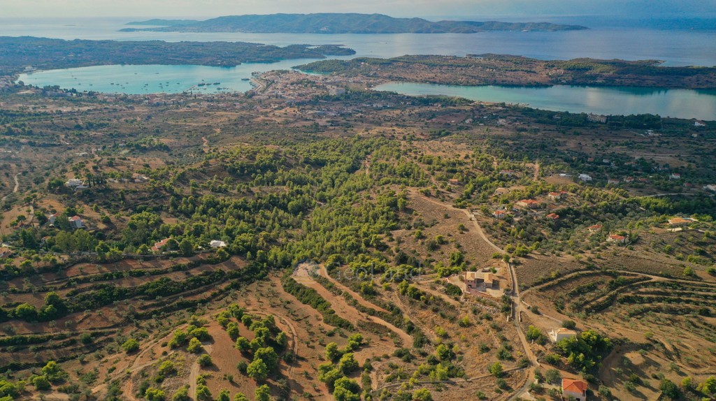 Αγροτεμάχια 24.142 τ.μ. προς πώληση, Βερβερούδα