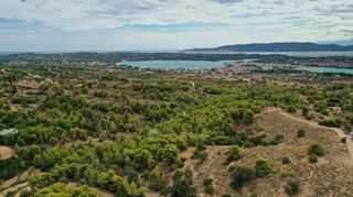 Αγροτεμάχια 24.142 τ.μ. για πώληση, Αργολίδα, Κρανίδι-thumb-15