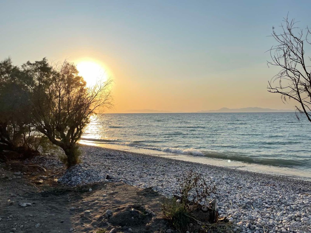 Αγροτεμάχια 19.000 τ.μ. προς πώληση, Δωδεκάνησα, Ρόδος