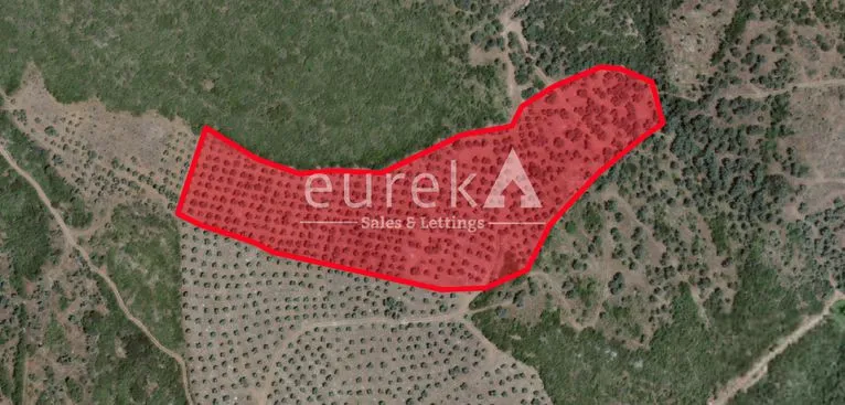 Parcel 21.396 sqm for sale, Phthiotis, Stilida