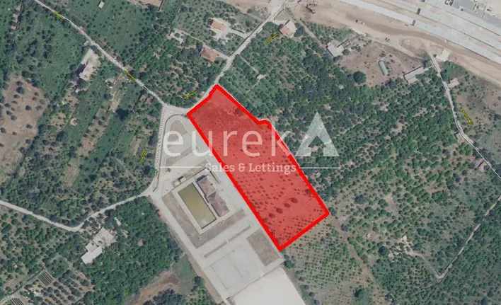 Parcel 11.552 sqm for rent, Achaia, Aigio