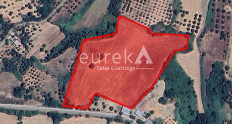 Parcel 26.300sqm for rent-Pineia