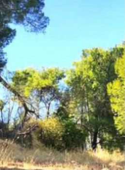 Land plot 360sqm for sale-Ilioupoli » Ano Ilioupoli