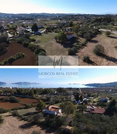 Parcel 4.000 sqm for sale, Argolis, Kranidi