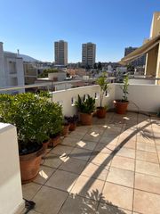 Αναλαμβάνω την συντήρηση κήπων και μπαλκονιών-thumb-11