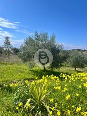 Βίλλα 400 τ.μ. για πώληση, Αργολίδα, Κρανίδι-thumb-7