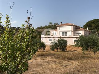 Βίλλα 400 τ.μ. για πώληση, Αργολίδα, Κρανίδι-thumb-3