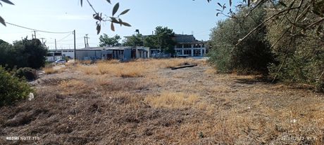 Land plot 1.800sqm for sale-Ierapetra » Stomio