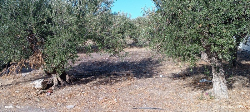 Οικόπεδο 1.800 τ.μ. πρός πώληση, Ν. Λασιθίου, Ιεράπετρα