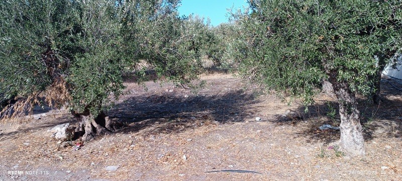 Οικόπεδο 1.800 τ.μ. πρός πώληση, Ν. Λασιθίου, Ιεράπετρα