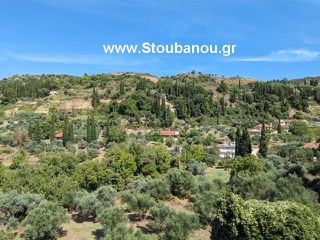 Διαμέρισμα 63 τ.μ. για πώληση, Ν. Ηλείας, Πηνεία-thumb-1