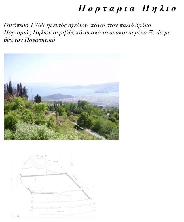 Οικόπεδο 1.600 τ.μ. πρός πώληση, Μαγνησία, Πορταριά
