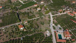 Αγροτεμάχια 2.038 τ.μ. για πώληση, Αργολίδα, Ερμιόνη-thumb-19