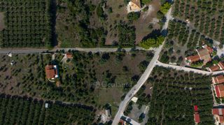 Αγροτεμάχια 2.038 τ.μ. για πώληση, Αργολίδα, Ερμιόνη-thumb-2