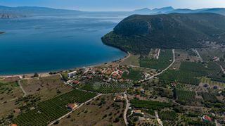 Αγροτεμάχια 2.038 τ.μ. για πώληση, Αργολίδα, Ερμιόνη-thumb-5