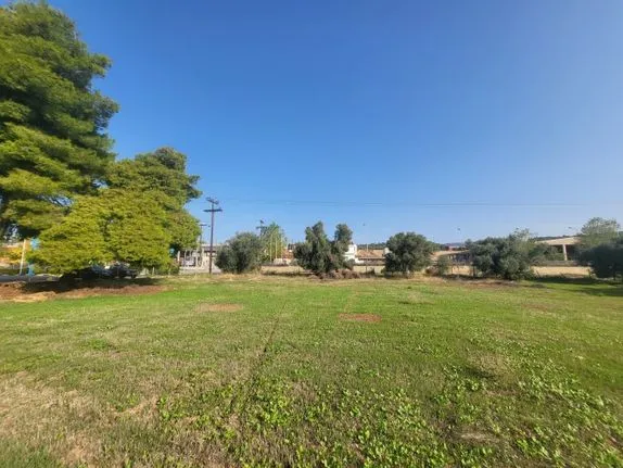 Parcel 10.000 sqm for sale, Evia, Eretria