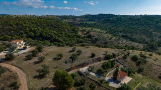 Αγροτεμάχια 10.600 τ.μ. προς πώληση, Βερβερούδα-thumb-16