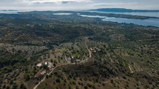 Αγροτεμάχια 10.600 τ.μ. προς πώληση, Βερβερούδα-thumb-6