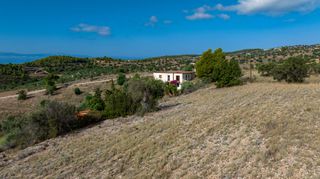Αγροτεμάχια 10.600 τ.μ. προς πώληση, Βερβερούδα-thumb-13