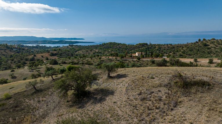 Αγροτεμάχια 10.600 τ.μ. για πώληση, Αργολίδα, Κρανίδι