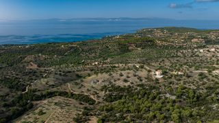 Αγροτεμάχια 10.600 τ.μ. προς πώληση, Βερβερούδα-thumb-9