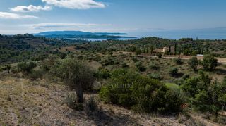 Αγροτεμάχια 10.600 τ.μ. προς πώληση, Βερβερούδα-thumb-5