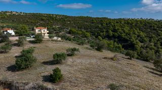 Αγροτεμάχια 10.600 τ.μ. προς πώληση, Βερβερούδα-thumb-15