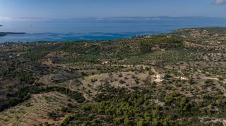 Αγροτεμάχια 10.600 τ.μ. προς πώληση, Βερβερούδα-thumb-7