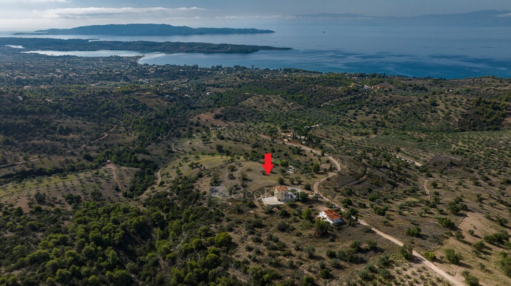 Αγροτεμάχια 10.600 τ.μ. προς πώληση, Βερβερούδα
