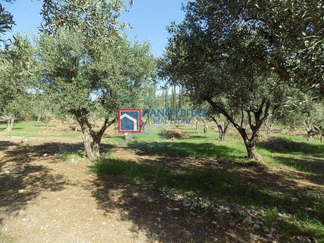 Αγροτεμάχια 22.000τ.μ. για πώληση-Λαμία » Κέντρο