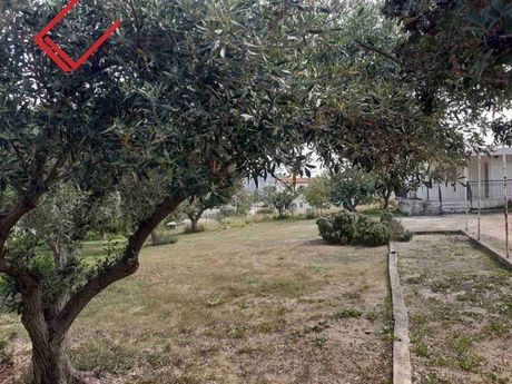 Οικόπεδο 1.231τ.μ. για πώληση-Καλύβια θορικού » Λαγονήσι