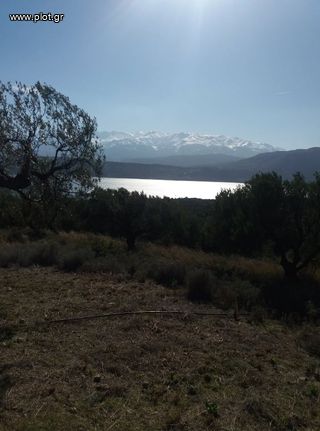 Οικόπεδο 4.012 τ.μ. για πώληση, Ν. Χανίων, Ακρωτήρι