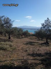Οικόπεδο 4.012 τ.μ. για πώληση, Ν. Χανίων, Ακρωτήρι-thumb-2