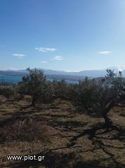 Οικόπεδο 4.012 τ.μ. για πώληση, Ν. Χανίων, Ακρωτήρι-thumb-3