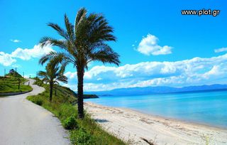 Αγροτεμάχια 9.272 τ.μ. για πώληση