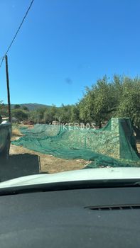Οικόπεδο 1.097 τ.μ. για πώληση