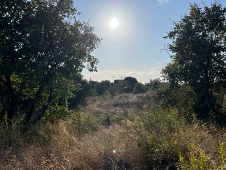 Land plot 1.686sqm for sale-Kefalonia » Eleioi-Pronoi