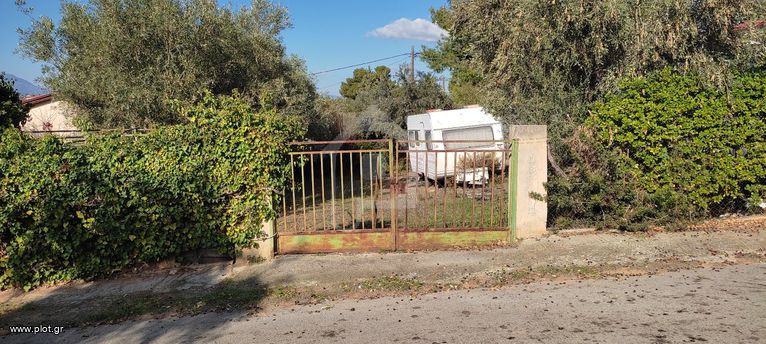 Οικόπεδο 250 τ.μ. για πώληση, Αττική - Υπόλοιπο, Κ. Σκάλας Ωρωπού