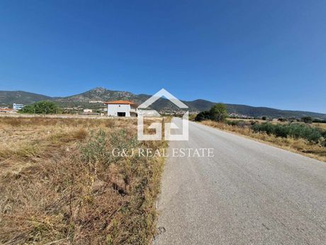 Αγροτεμάχια 8.000τ.μ. για πώληση-Θέρμη » Βασιλικά » Κέντρο